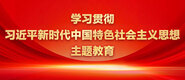 插逼逼流水电影天堂学习贯彻习近平新时代中国特色社会主义思想主题教育_fororder_ad-371X160(2)